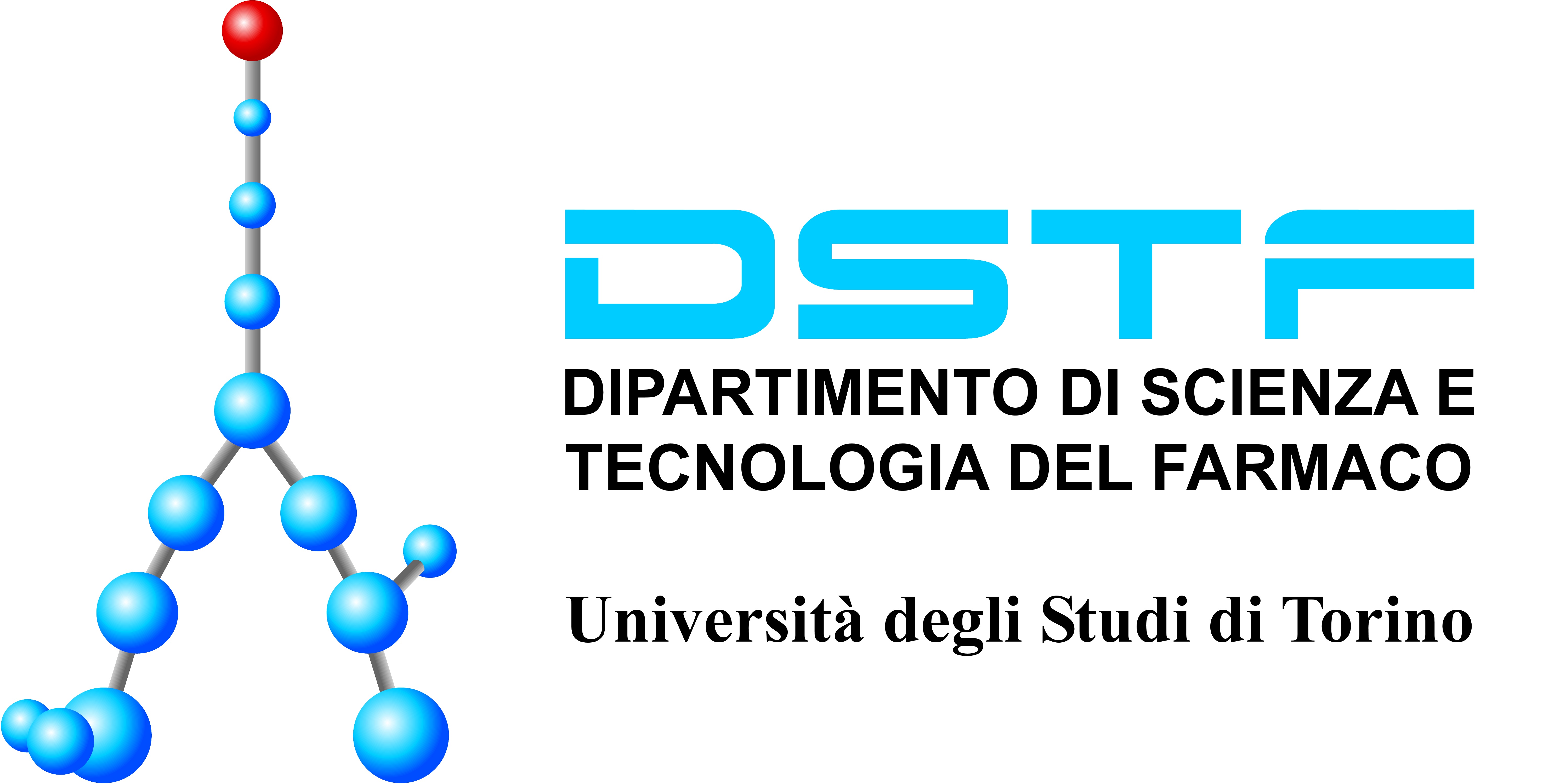 DSTF UNITO LOGO